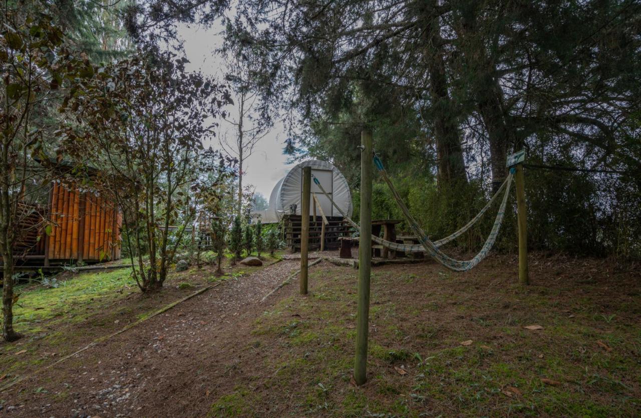 Готель Bubblesky Glamping 40 Min From Medellin Ель-Ретіро Екстер'єр фото
